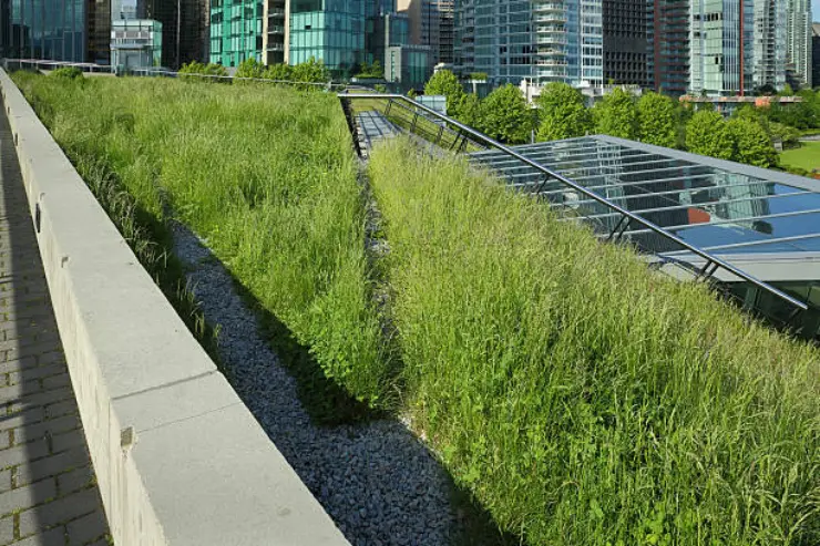 Green roof installed with pebbles to help drainage.