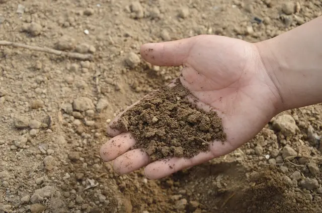 Types Of Soil Remediation Techniques For Restoring Contaminated Soil