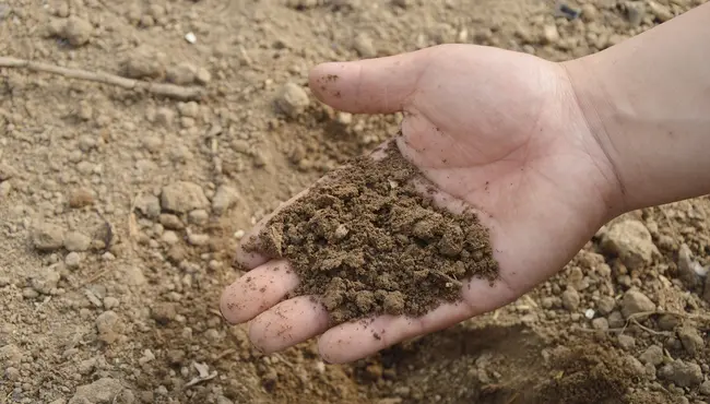 Types Of Soil Remediation Techniques For Restoring Contaminated Soil